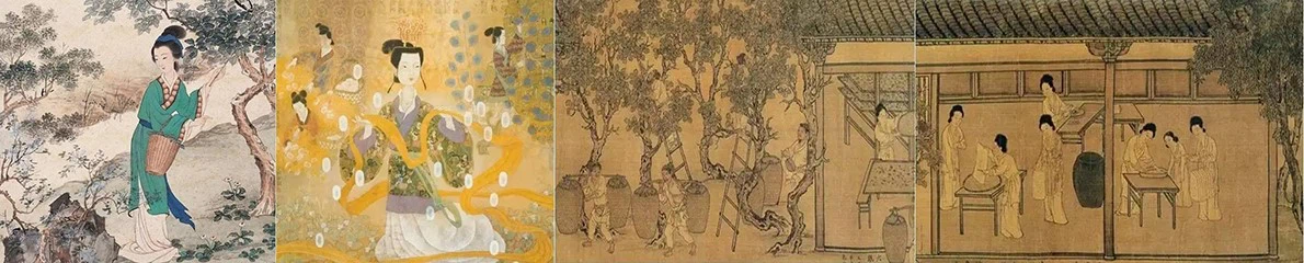 the silk hostroy in China the silk hostroy in China